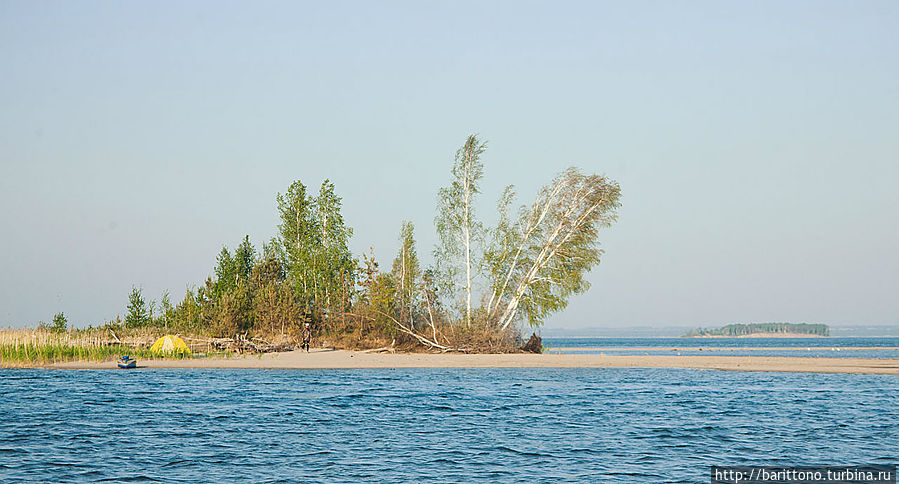 Паучий островок. Паучий островок.