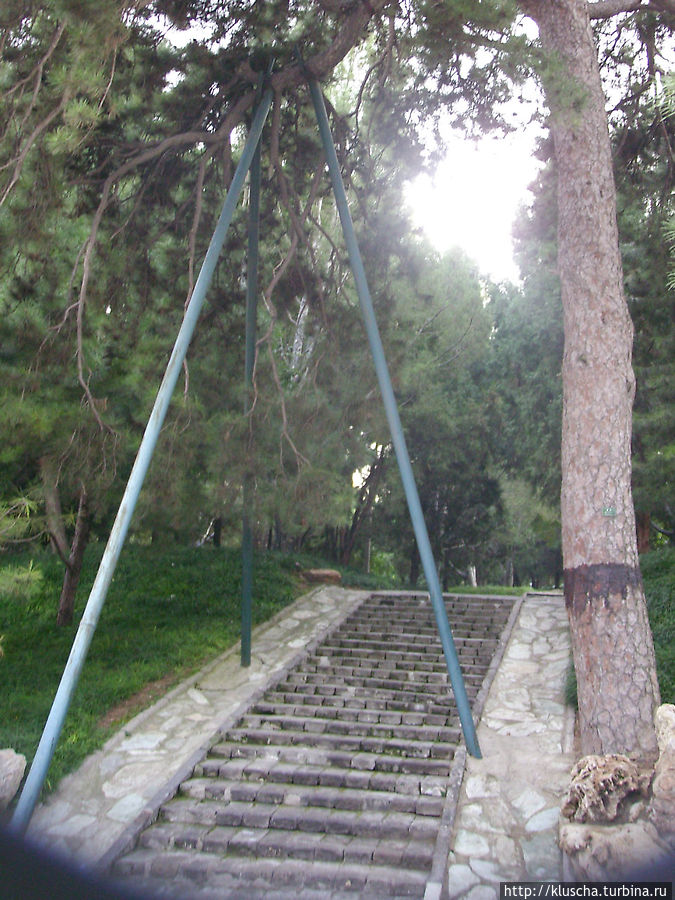 Такие железные конструкции поддерживают ветки деревьев чтобы не сломались Такие железные конструкции поддерживают ветки деревьев чтобы не сломались