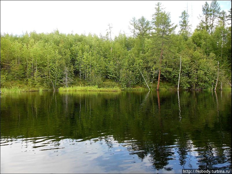 Рыбалка на Икабьяканских озёрах Забайкальский край, Россия