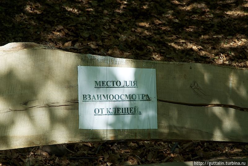 Крымские покатухи. По яйлам. Республика Крым, Россия Крымские покатухи. По яйлам. Республика Крым, Россия