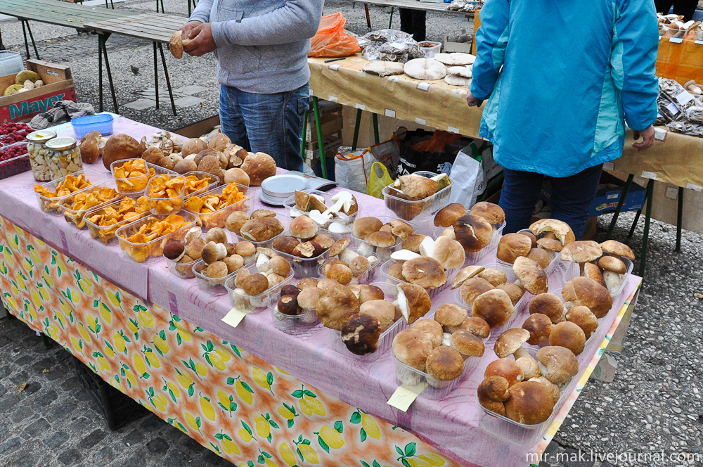 В центре наткнулся на небольшой «деревенский базар», среди стандартного ассортимента подобных рынков, особо понравились грибы. Любляна, Словения