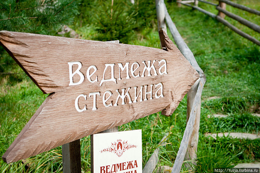 Стежинка для самых смелых))) Уходит в лес и петляет-петляет.... Львовская область, Украина