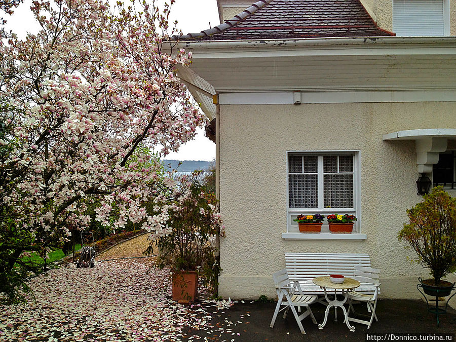 Весна в Весне Колонж-Бельрив, Швейцария