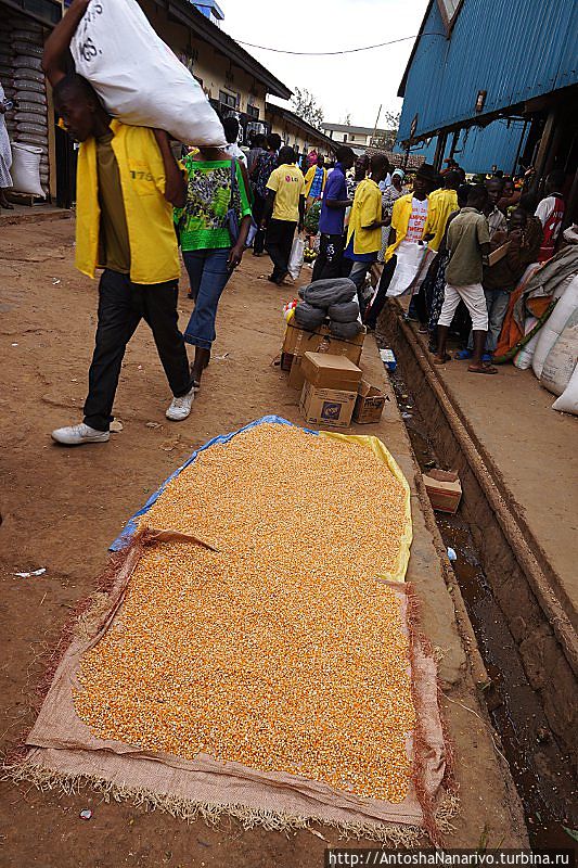 Кукуруза. Кигали, Руанда