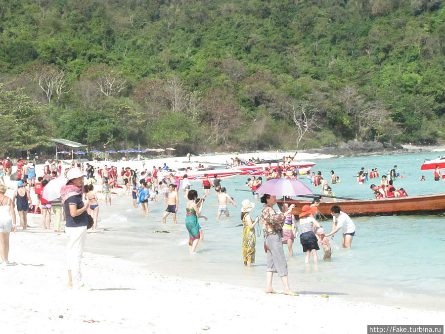 это только начало, позже там негде было ступить) это только начало, позже там негде было ступить)
