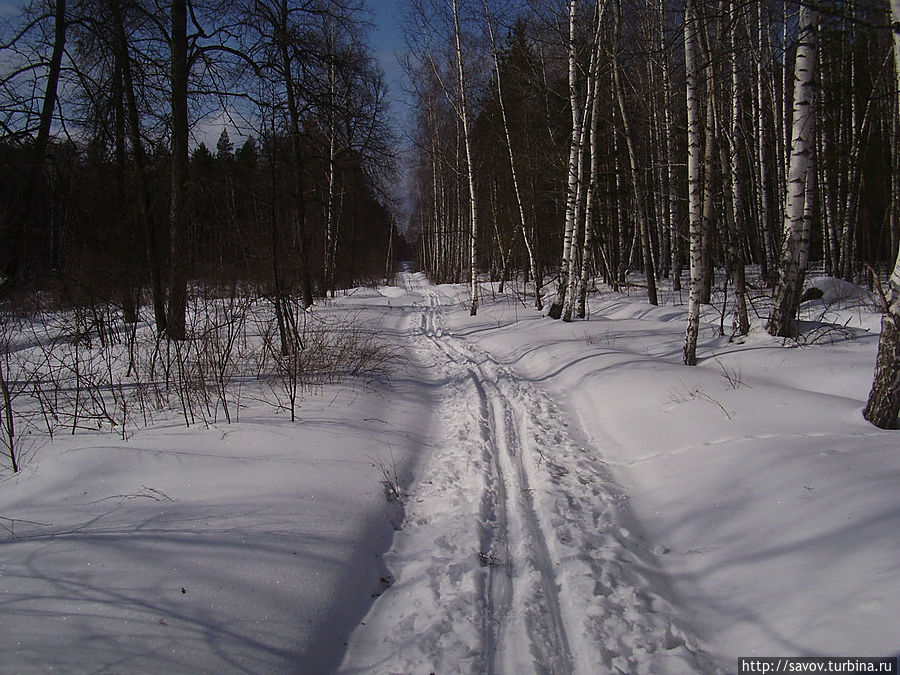 Лесная сказка Воронежского края Рамонь, Россия