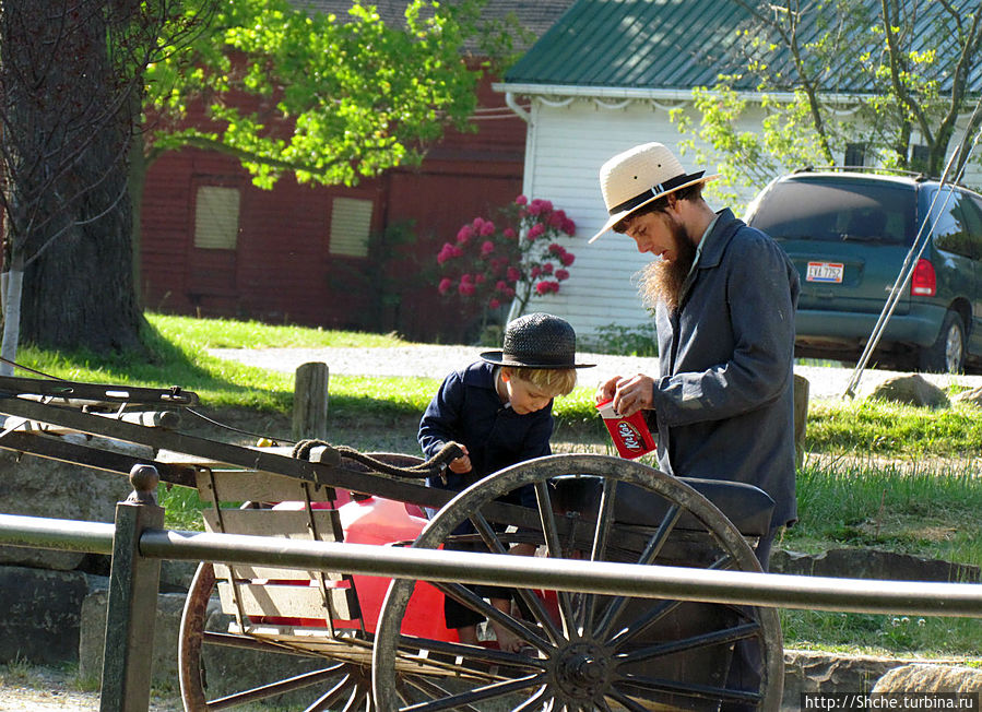 приехали папа с сыночком приехали папа с сыночком