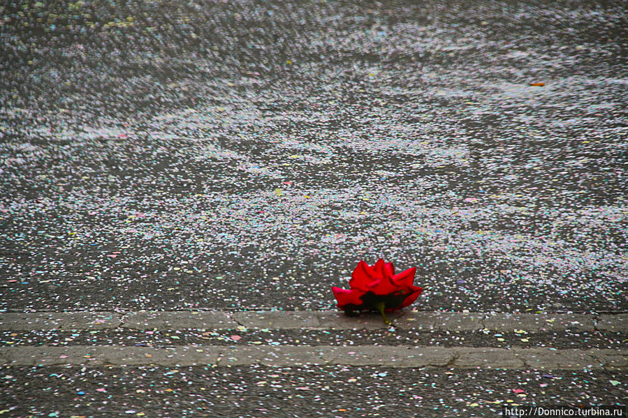 роза на снегу — удача для фотографа. Или вернее фальшивая роза на фальшивом снегу удача для фальшивого фотографа :-) роза на снегу — удача для фотографа. Или вернее фальшивая роза на фальшивом снегу удача для фальшивого фотографа :-)
