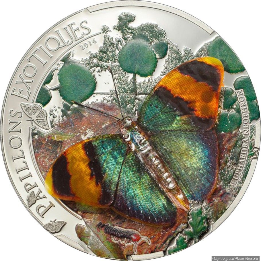 3D-монеты. Экзотические бабочки ЦАР