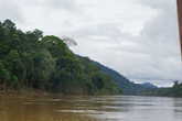 Меня  ни  на  минуту  не  покидало  ощущение,  что  мы  плывем  по  Амазонке. Те  же  джунгли,  та  же  вода.  А  вот  крокодилы  не  попадались!