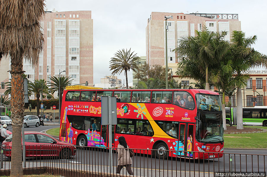 Красные экскурсионные автобусы компании City Sightseeing, хорошо знакомые туристам по всему миру. Санта-Крус-де-Тенерифе, остров Тенерифе, Испания