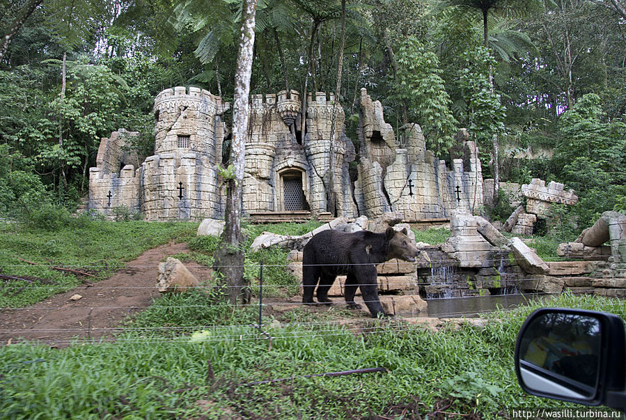 Тоже за морковкой пришёл... Тоже за морковкой пришёл...