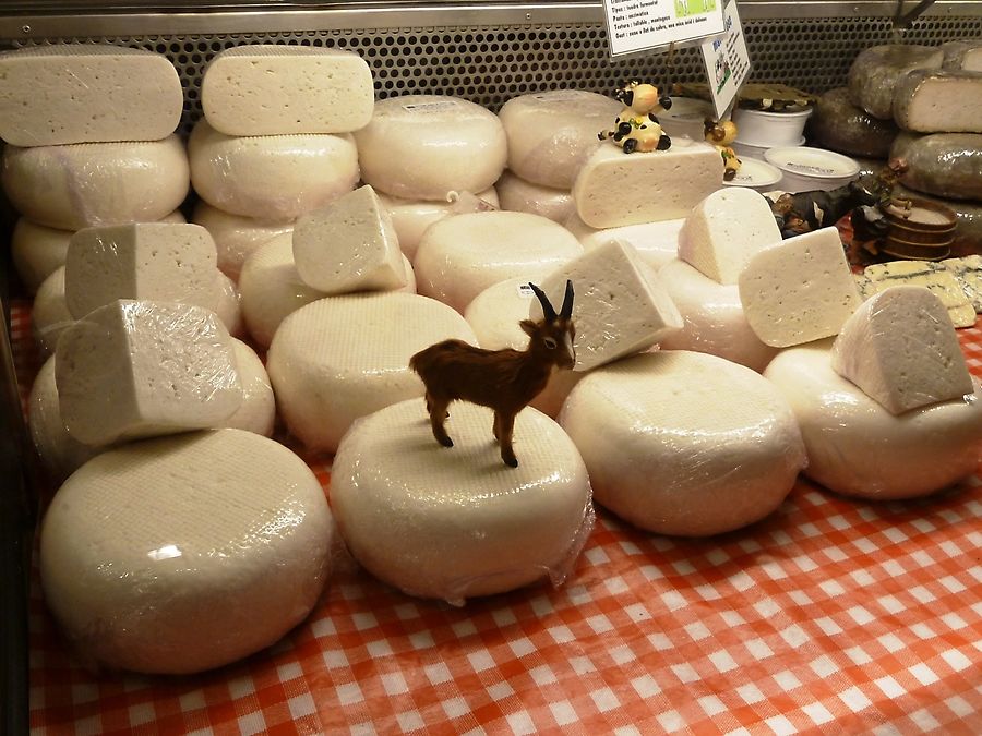 А в Жироне козий сыр Жирона, Испания