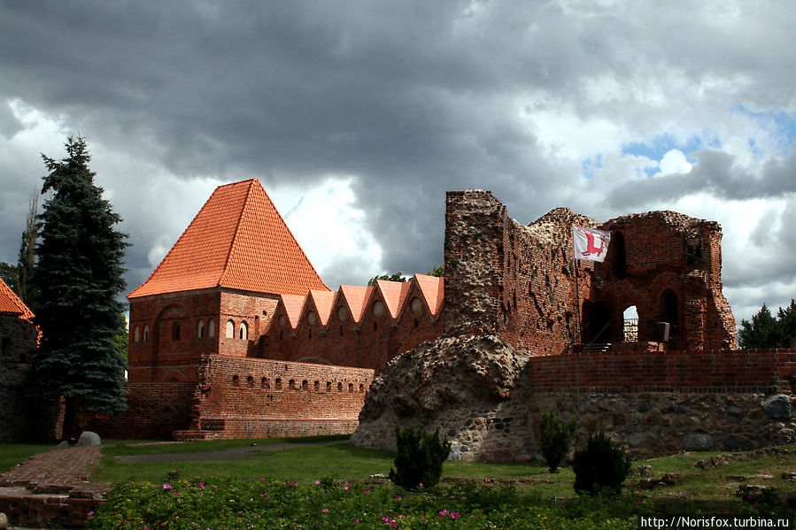 Руины замка крестоносцев Торунь, Польша