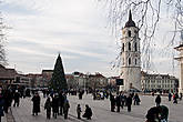 Главная елка города и Колокольня на Кафедральной площади