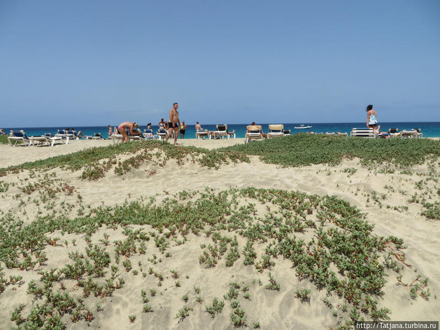 Широкий и прекрасный пляж  и музыка волн Санта-Мария, Кабо-Верде