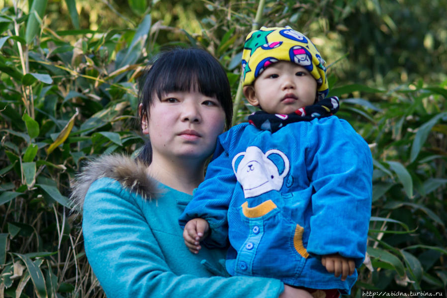 Пекинский зоопарк. Панды и дети Пекин, Китай