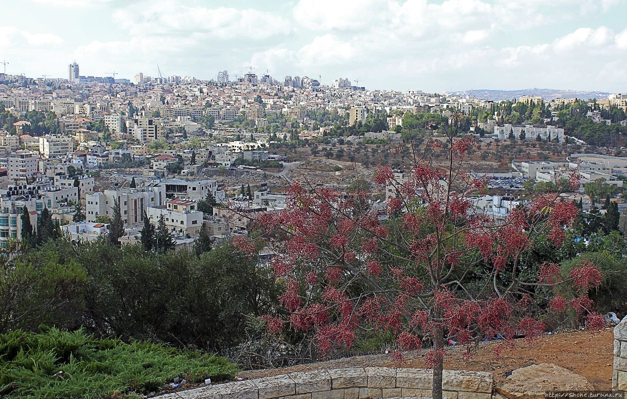 Смотровая площадка на горе Скопус Иерусалим, Израиль