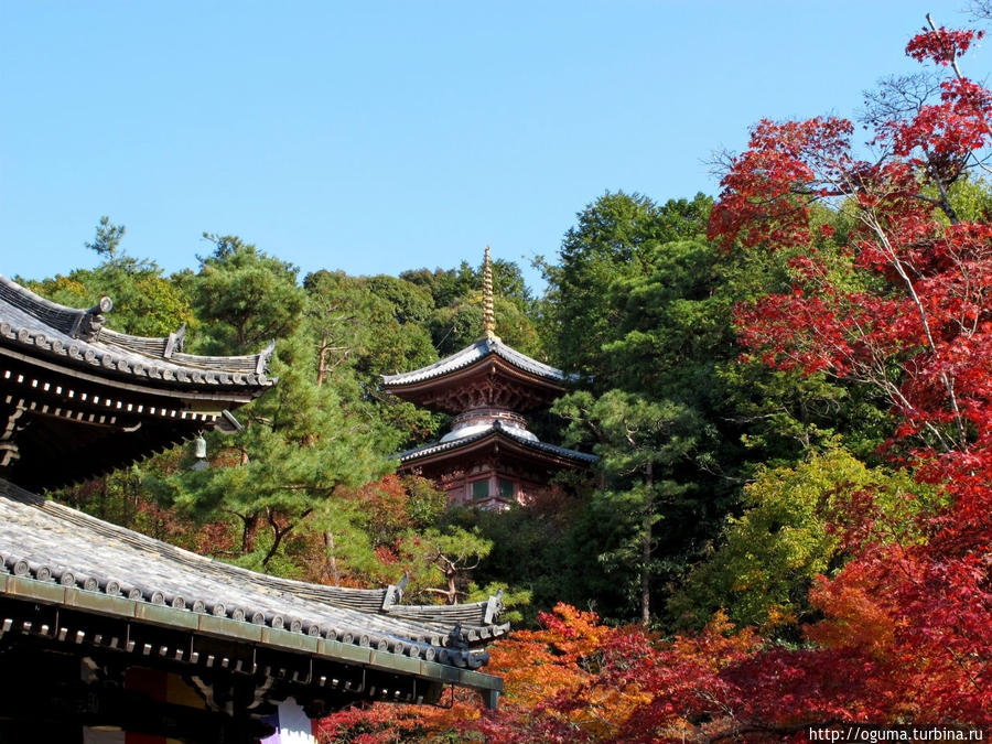 Утопающая в осеннем лесу пагода храма Имакуманоканнодзи (Imakumanokannonji, 今熊野観音寺) в Киото Япония