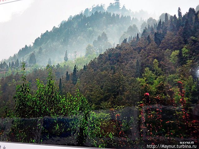 Природа и храмы Китая Китай Природа и храмы Китая Китай