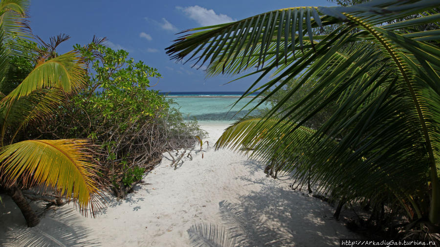 Ад в Раю Мальдивские острова
