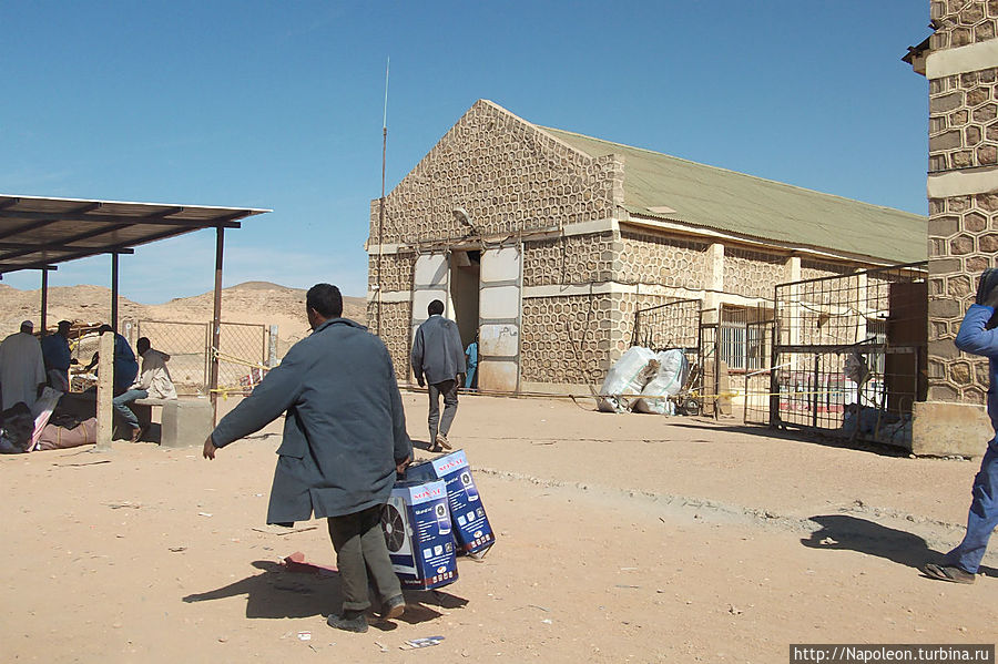 Верблюд пустыни Вади-Хальфа, Судан Верблюд пустыни Вади-Хальфа, Судан