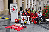 Местный Красный Крест проводил какие-то экспресс-курсы по оказанию первой медицинской помощи.