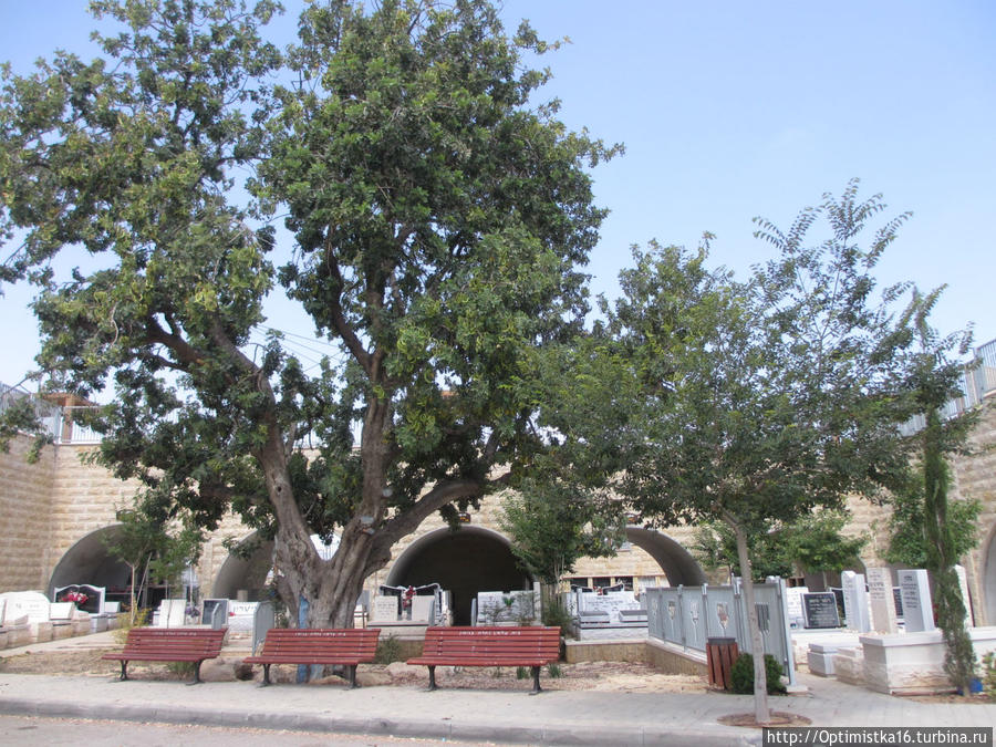 А на кладбище всё спокойненько... Хайфа, Израиль А на кладбище всё спокойненько... Хайфа, Израиль