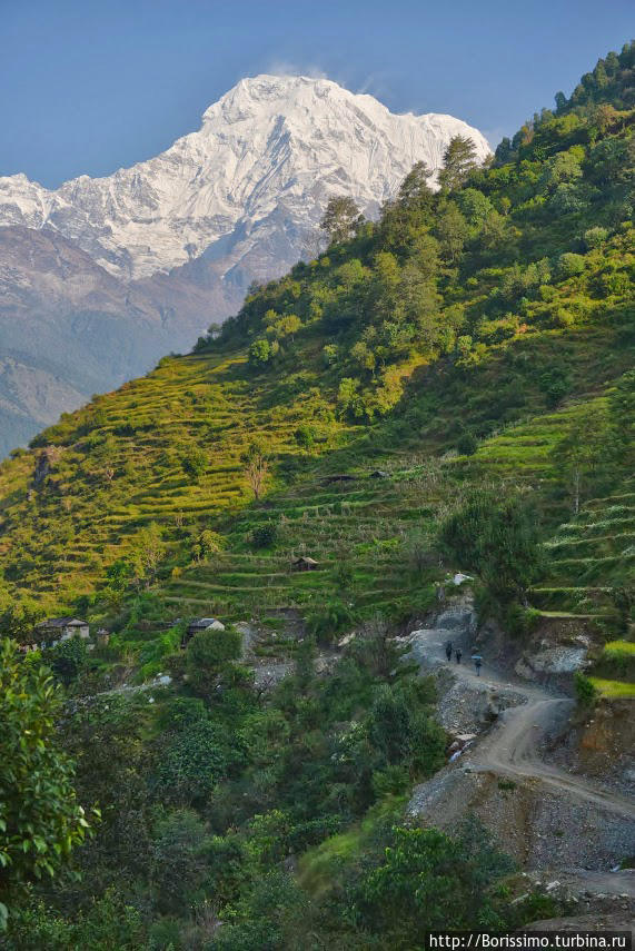 Тропа идёт по склону, разбитому на бесчисленные террассы, вдоль реки Modi Khola. Она часто пересекает притоки. Непал