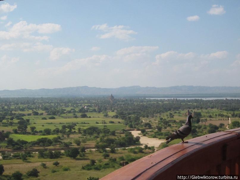 Виды Багана со смотровой башни Паган, Мьянма