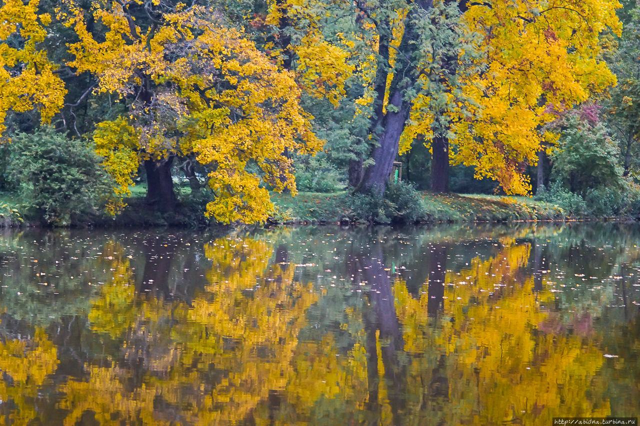Осенние краски Чешской Моравии