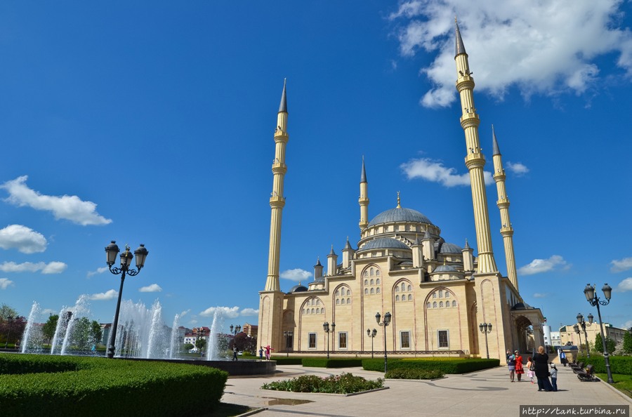 В самое сердце Чечни