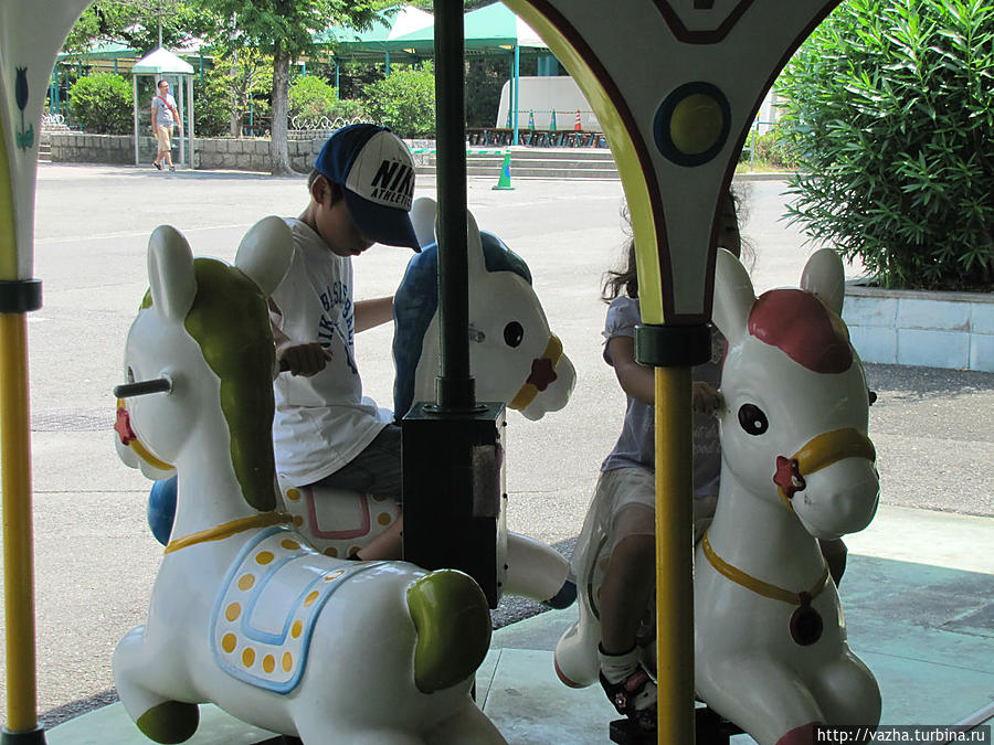 Зоопарк Осаки. Вторая часть Осака, Япония