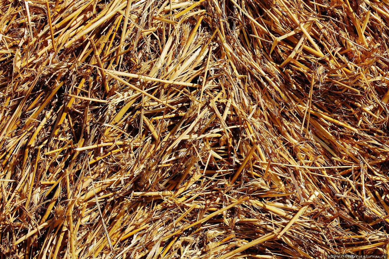 Как небо и земля Волосово, Россия Как небо и земля Волосово, Россия