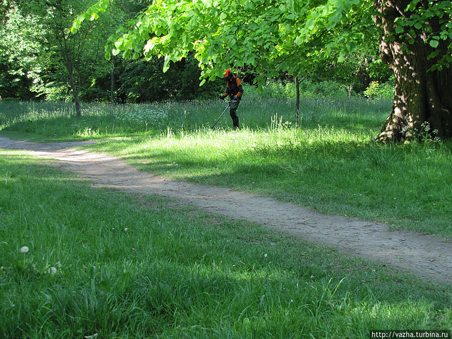 Тот самый садовник Тот самый садовник