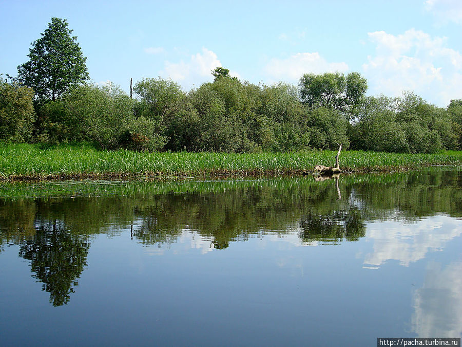 Беларусь фрагменты и зарисовки матушки природы Борисов, Беларусь Беларусь фрагменты и зарисовки матушки природы Борисов, Беларусь