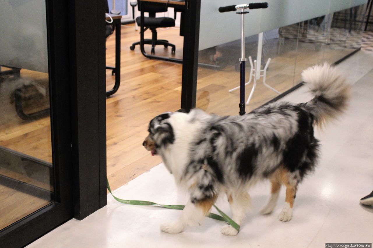 Ай ти Сарона Азриэли Тель-Авив, Израиль Ай ти Сарона Азриэли Тель-Авив, Израиль