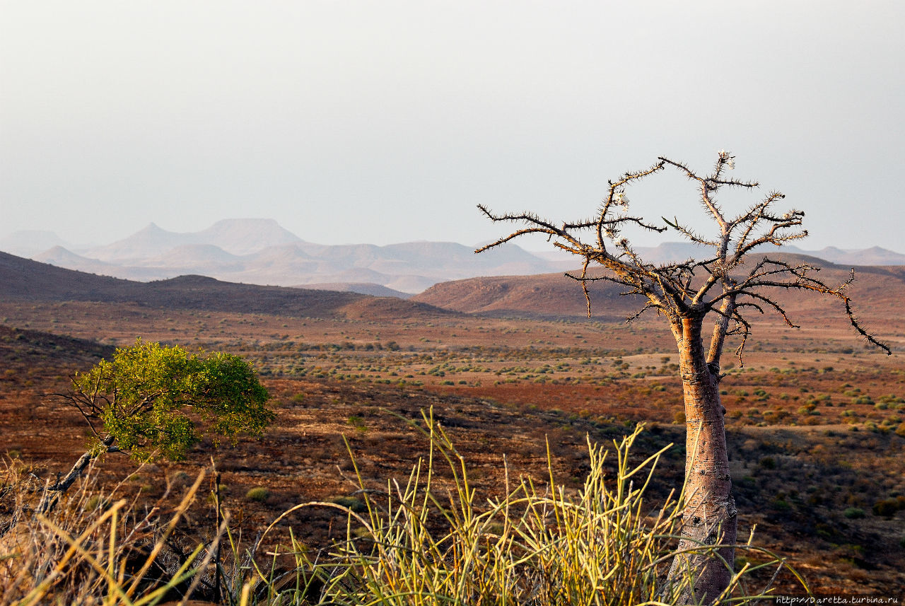 Дамараленд: Земля обетованная Дамаралэнд, Намибия