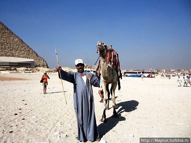 Египет. Турция Египет. Турция