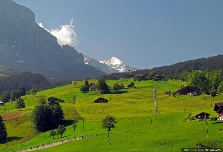 Зеленые Бернские Альпы. На поезде летом Кантон Берн, Швейцария
