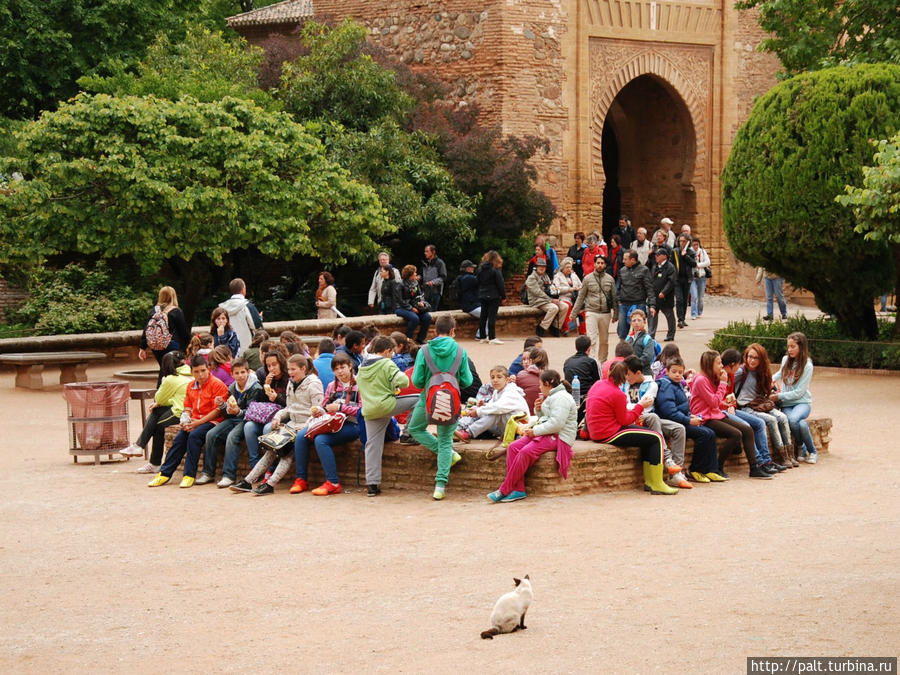 Альгамбра популярна и у испанских школьников
