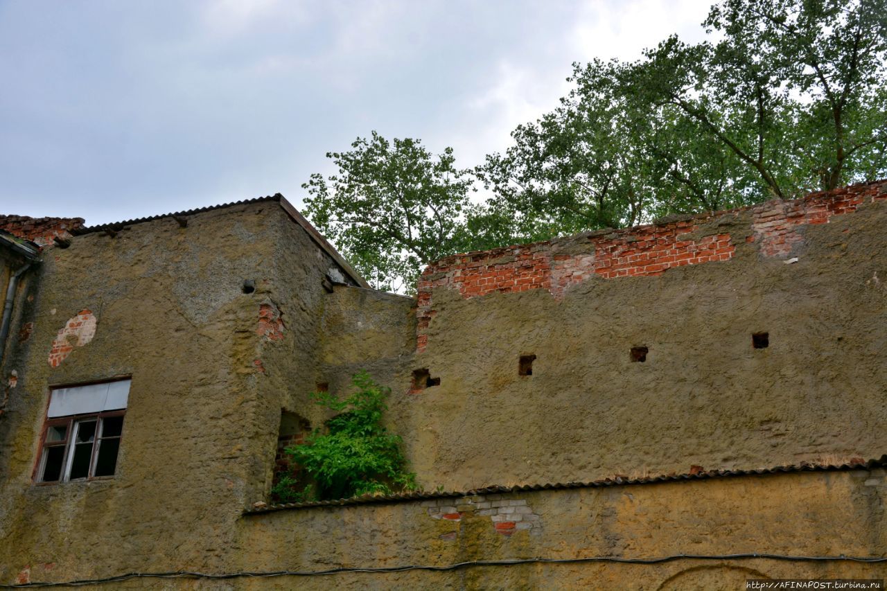 Весь покрытый древностью... замок Лабиау у Полесска есть