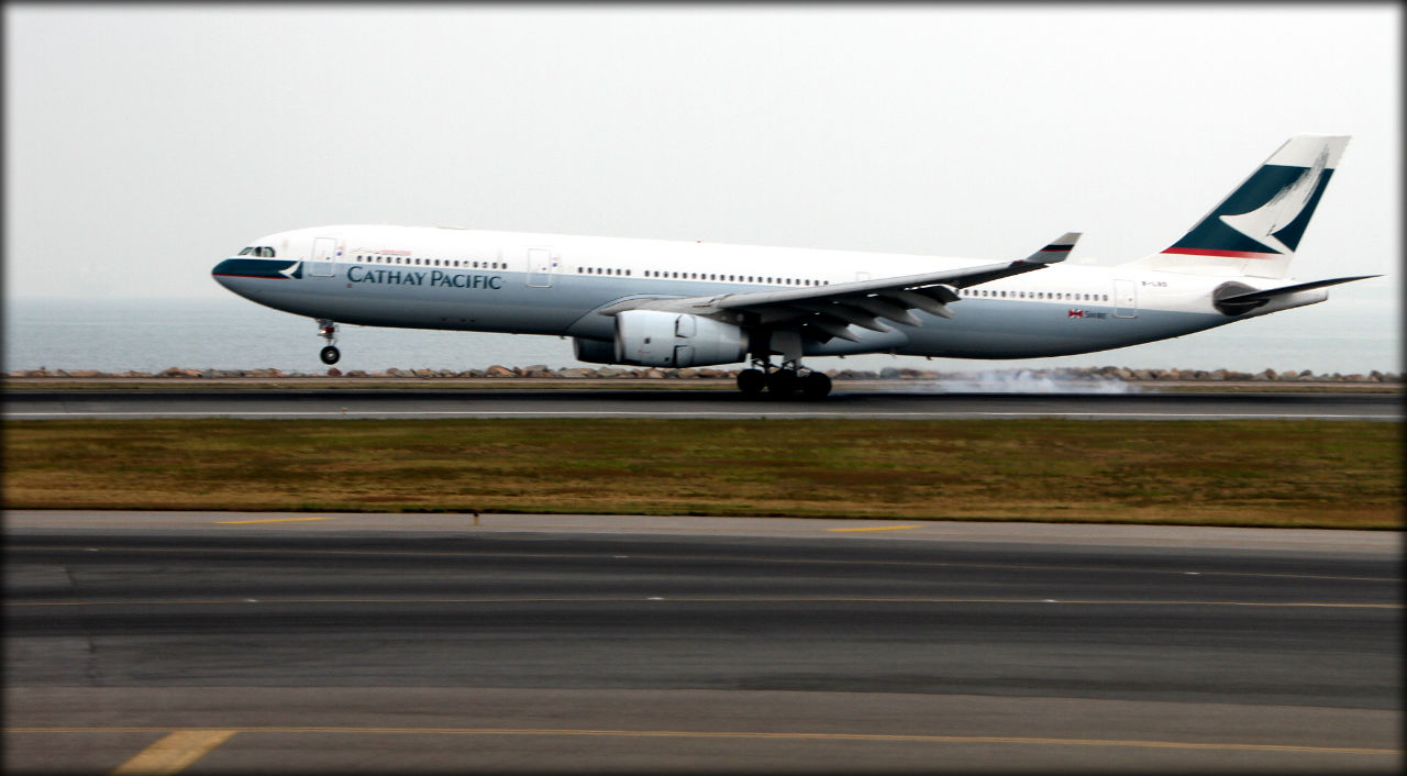 Крылья наших мечтаний Крылья наших мечтаний