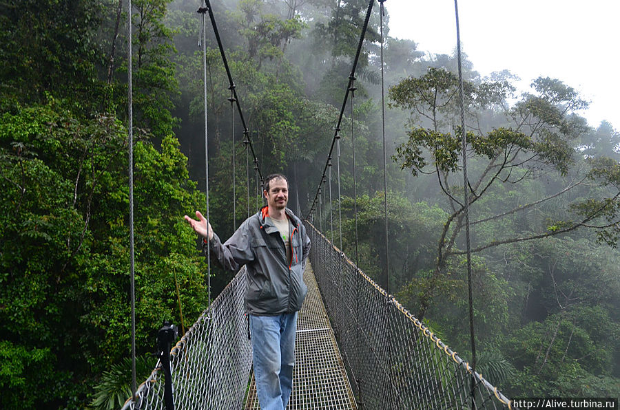 моросит — так и отлично! Аренал, Коста-Рика моросит — так и отлично! Аренал, Коста-Рика