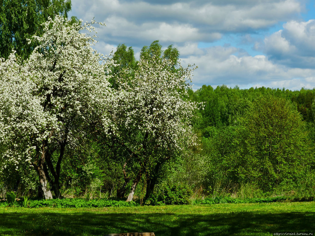 Буйство весны во Фленово Флёново, Россия