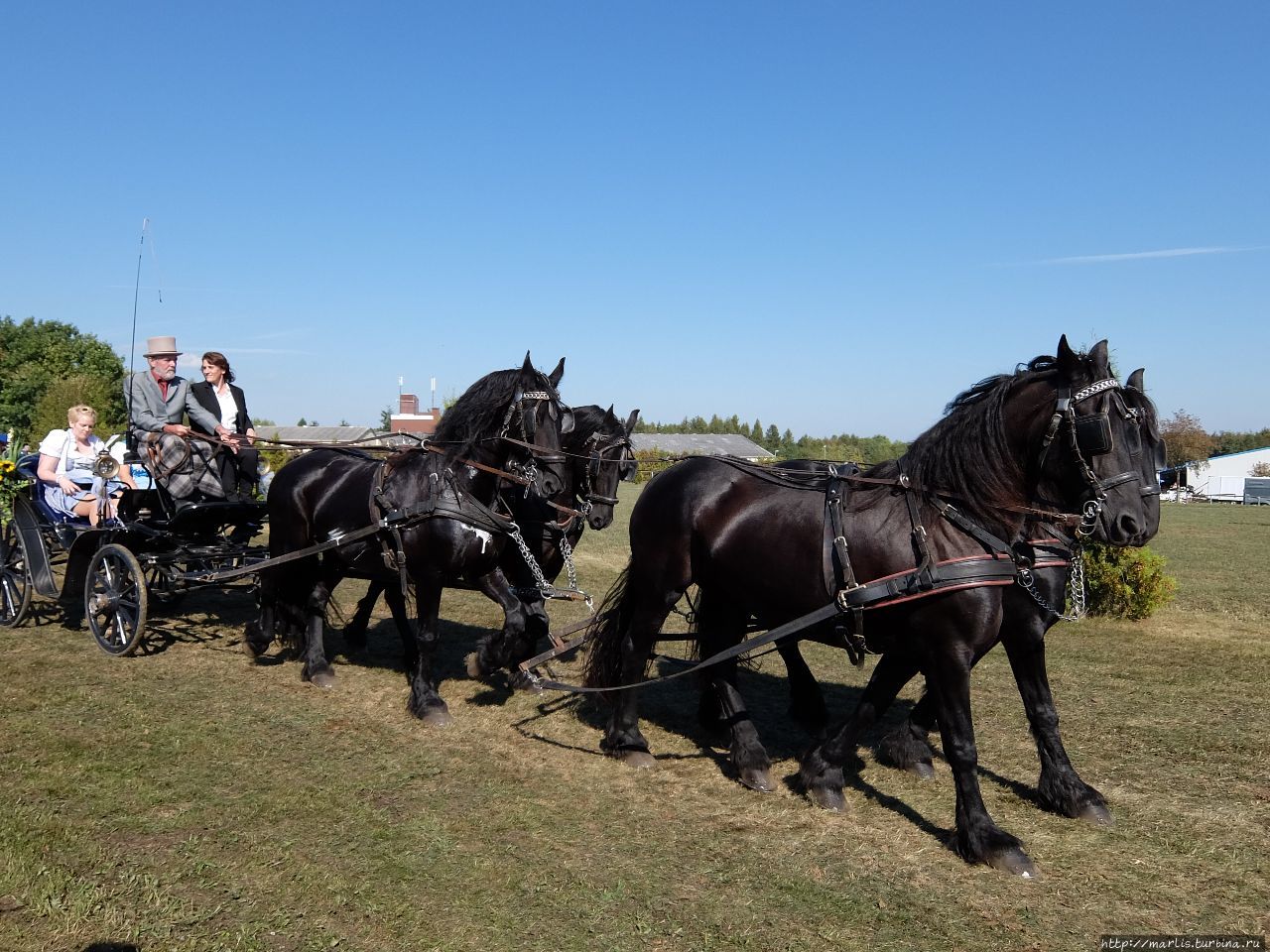 Баба з возу — кобыле легше Фишбах, Германия Баба з возу — кобыле легше Фишбах, Германия
