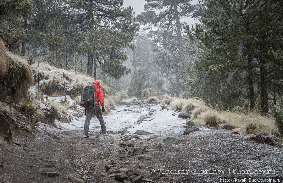 Поход на вулкан Толука Толука-де-Лердо, Мексика Поход на вулкан Толука Толука-де-Лердо, Мексика