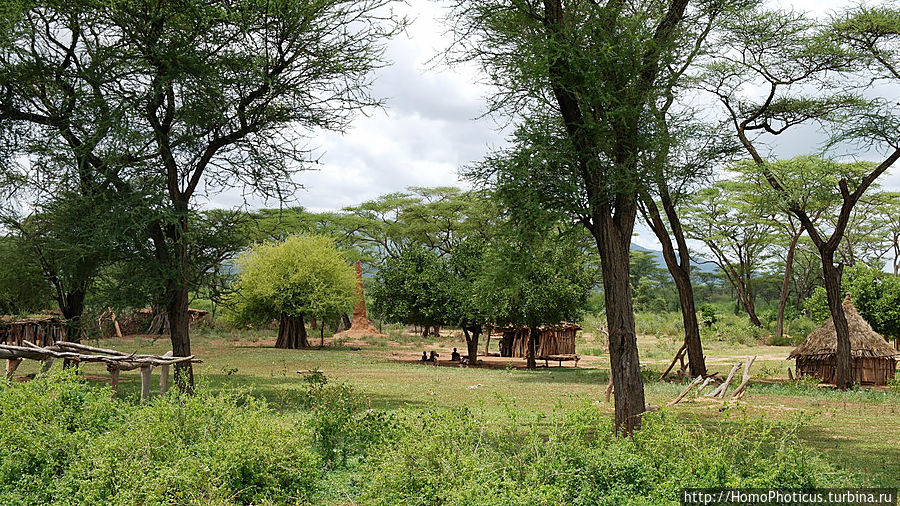 Этнография долины Омо: земля уэйто и цамай Уэйто, Эфиопия