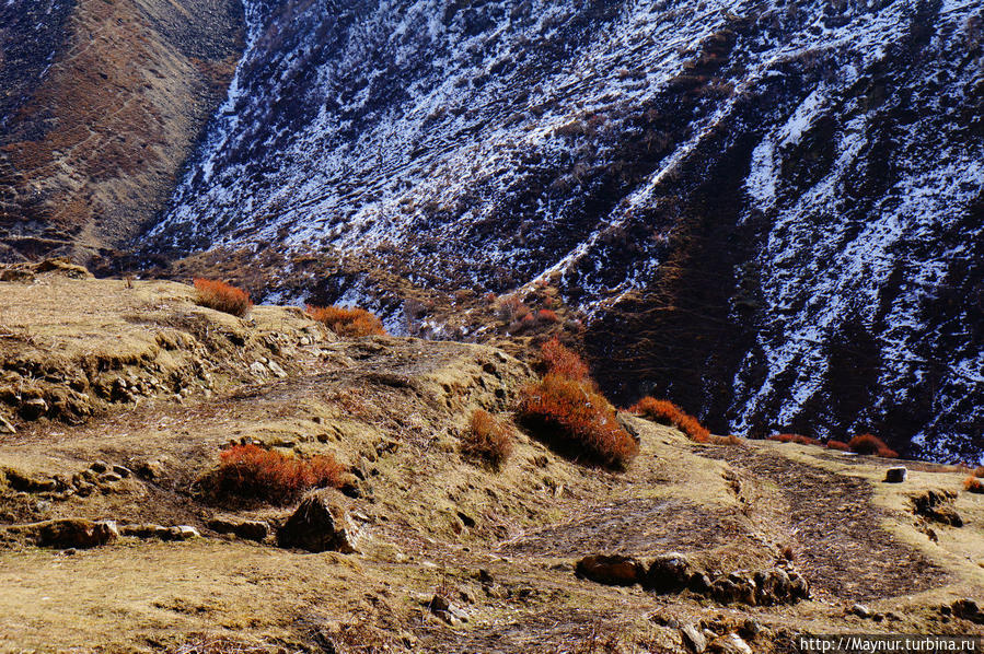 Треккинг  вокруг   Манаслу.   Перевал... Покхара, Непал