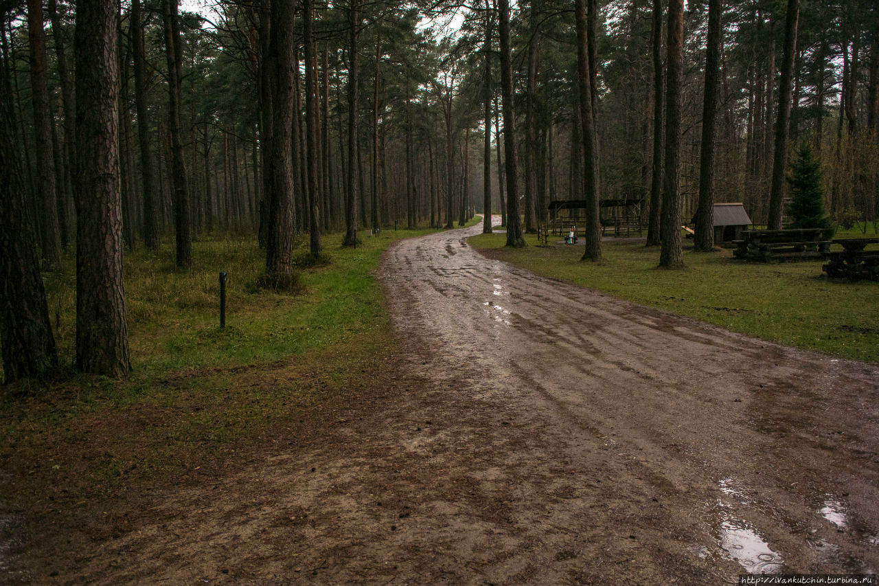 В дождь по Рокка-аль-Маре Таллин, Эстония